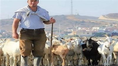 رفضت راعي الغنم علشان فقير… وبعد سنين دخلت شركة الأحلام واټصدمت لما عرفت مين رئيسها 