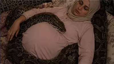 امرأة حامل بجوار أفعاها الأليفة الضخمة كل ليلة