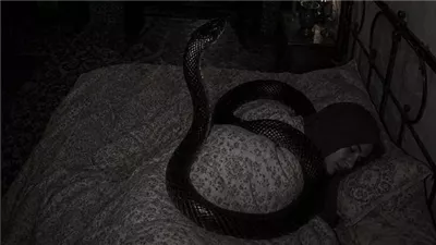 أصبح الحنش الذي أربيه غريبًا