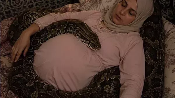موقع أيام نيوز
