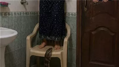 الافعى بقلم جيجى