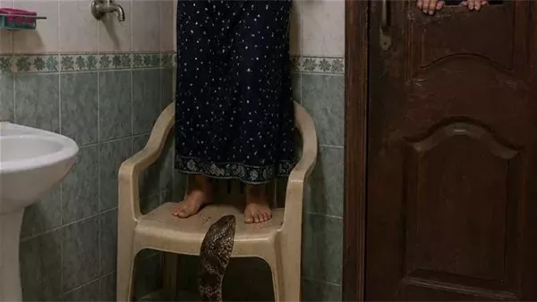 موقع أيام نيوز