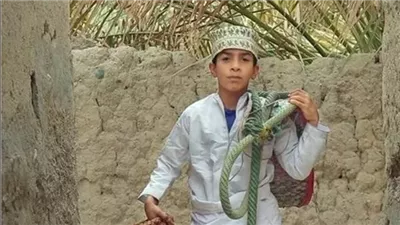 موقع أيام نيوز