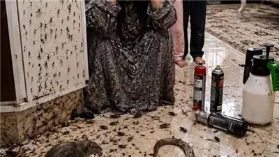 موقع أيام نيوز